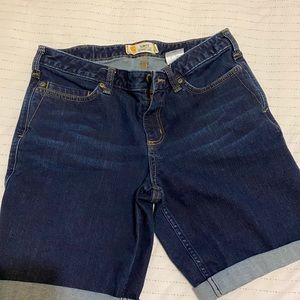 Carhartt Denim Shorts
